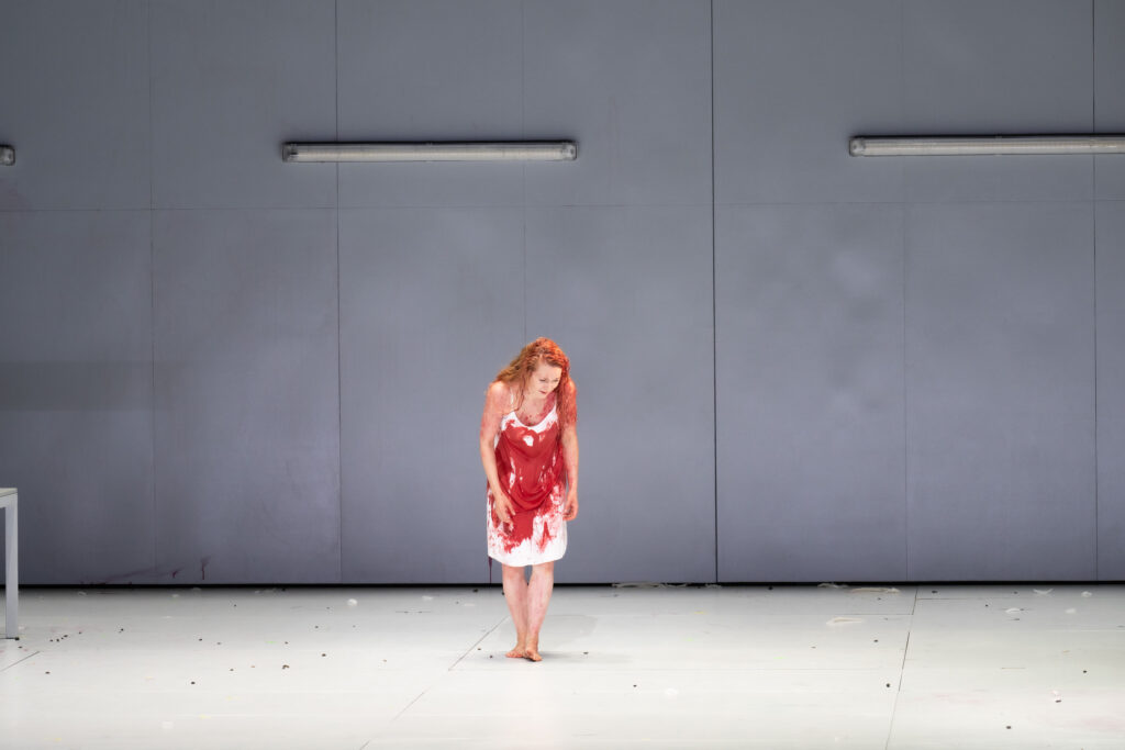 paradies und die peri hh tk 183