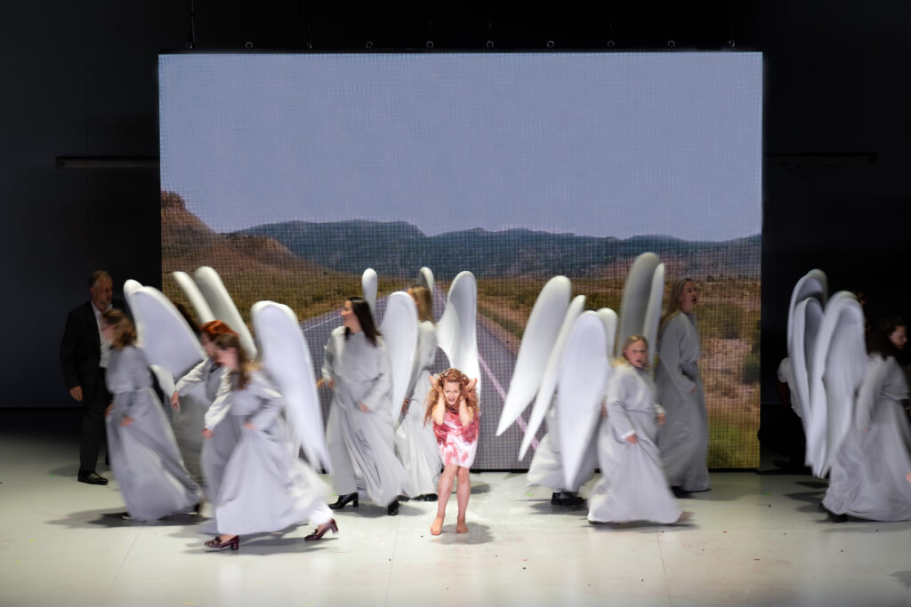 paradies und die peri hh tk 262